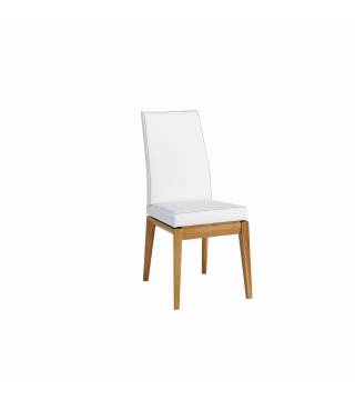 Židle Modern - Nabytek Wanat